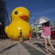 Image for article titled In China, There Are Too Many Giant Rubber Duck Rip-Offs